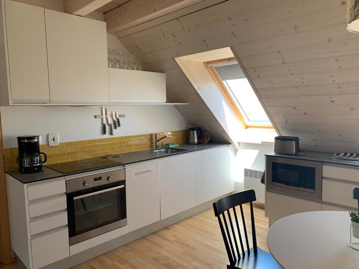 Stylovy Apartman C. 8 U Venuse, Pavlov U Mikulova Екстериор снимка