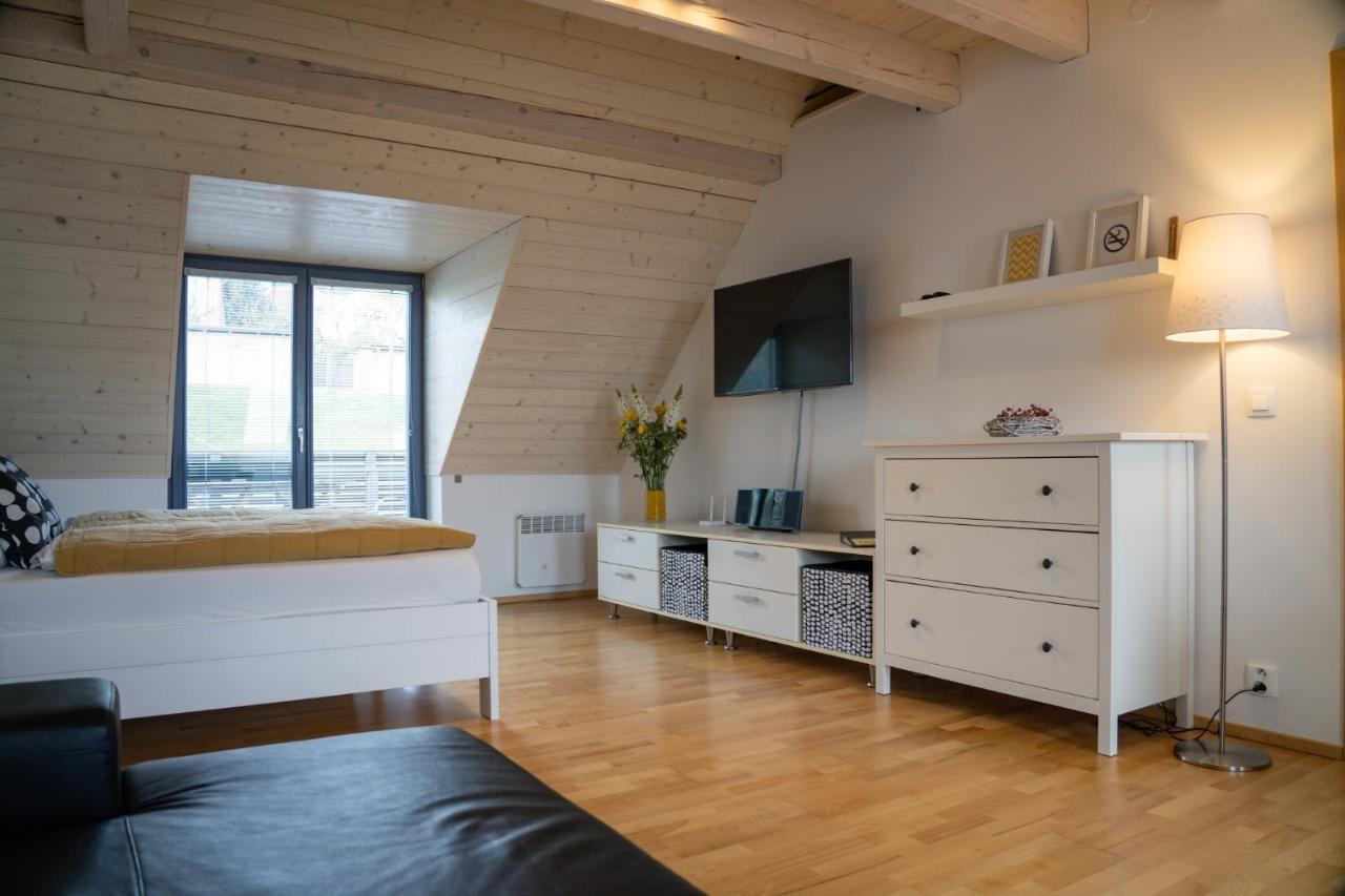 Stylovy Apartman C. 8 U Venuse, Pavlov U Mikulova Екстериор снимка
